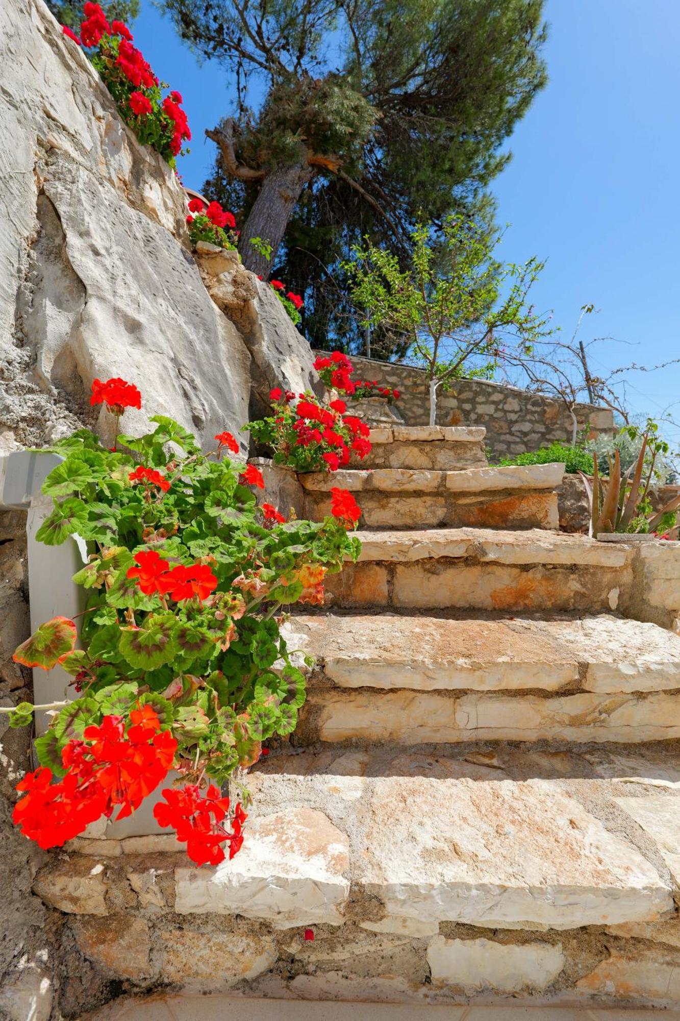 Flower Vila Sarande Ngoại thất bức ảnh